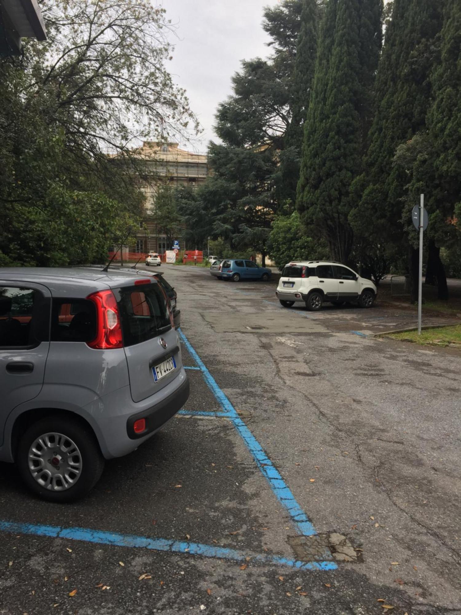 Appartamento In Centro Zona Fiera,Davanti Al Galliera Génova Exterior foto